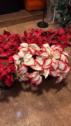 6 Medium Sized Artificial Poinsettias 