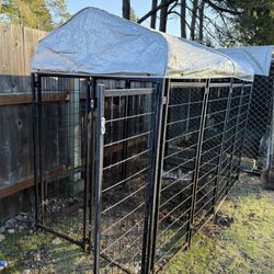 Dog Kennel 