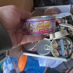 Cat Good Expectation Is 2026 20 Plus Cans 