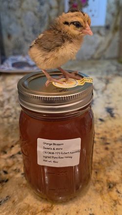 Organic honey