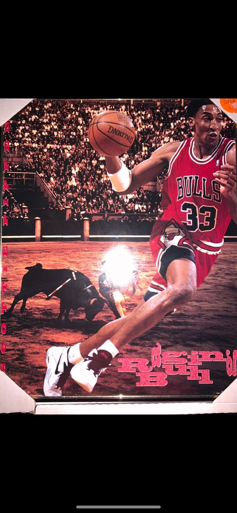 Scottie Pippen Framed Poster (1995)