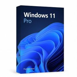 Microsoft Windows 11 Professional Digital License (With Copilot Ai)