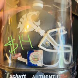 Washington State Mini Helmet New In Box 