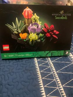 Lego succulents set