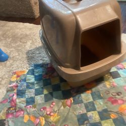 Cat Covered Litter Box
