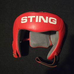 Sting head gear