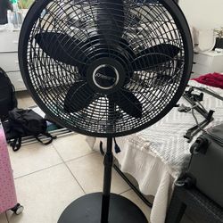 Fan - Indoor And Outdoor 