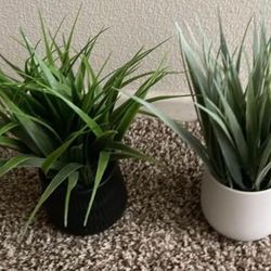 Artificial plants