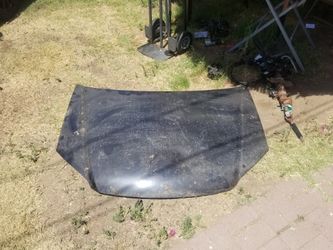 2004 honda civic hood