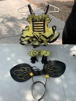 Bumble bee costume