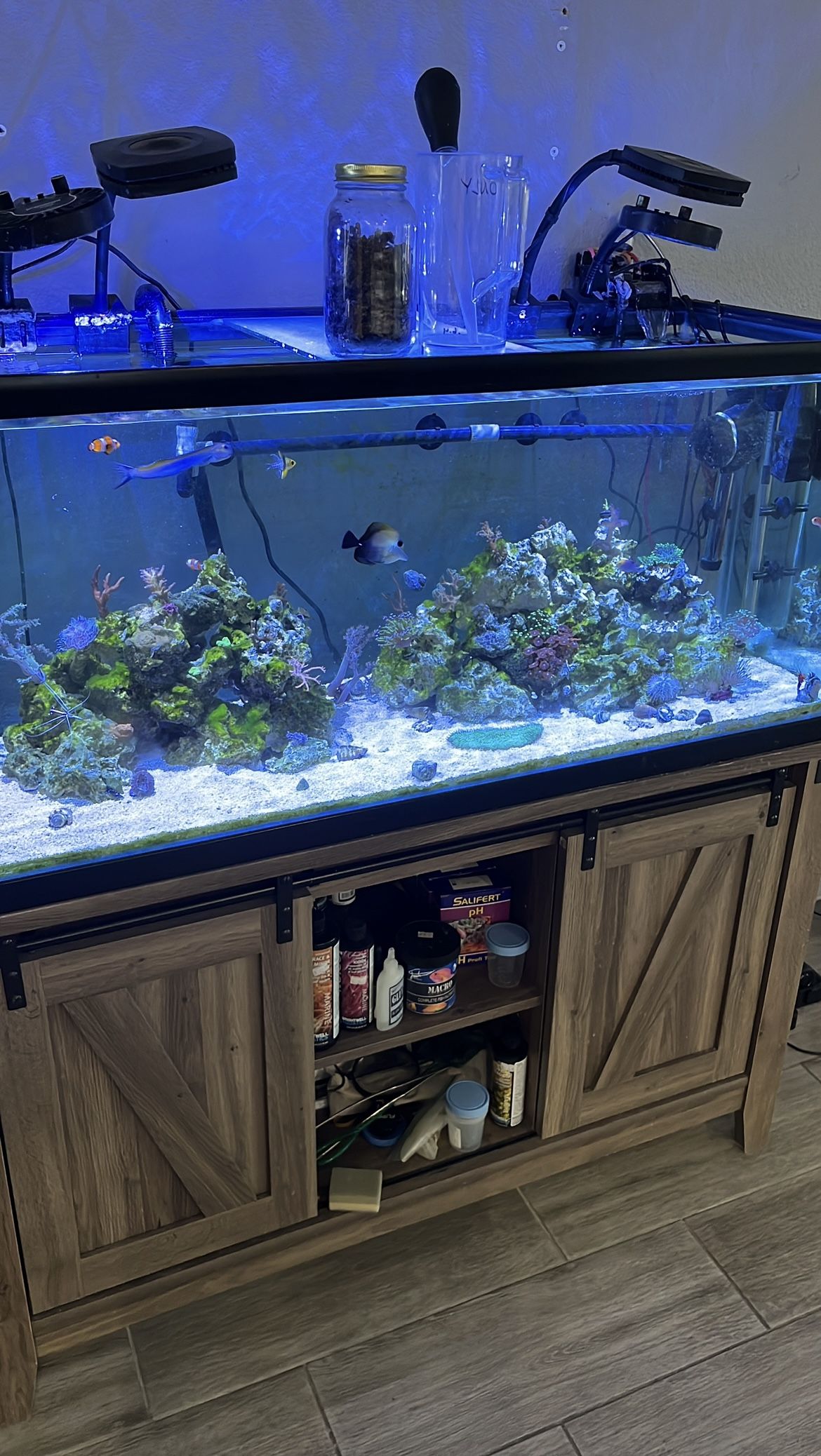 75 Gallon Fish Tank Fully Loaded For Salt Or Freshwater