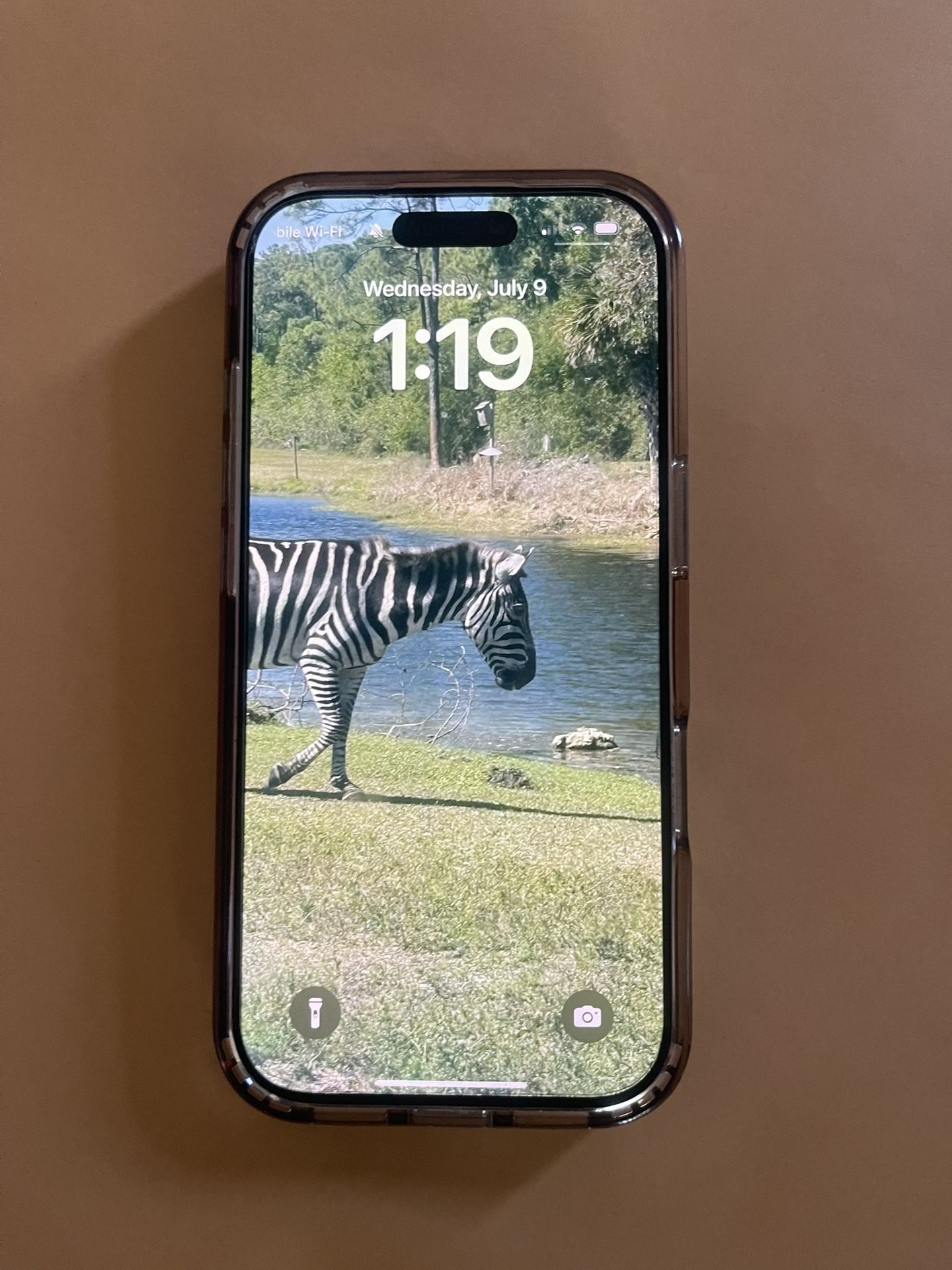 iPhone 16 Pro