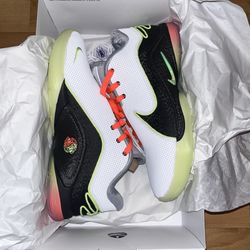 Nike LeBron Basketball Shoes