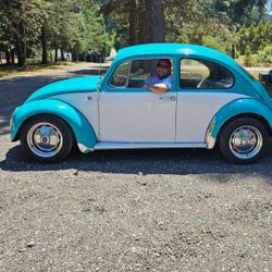 1967 Beetle Wolfsburg Edition