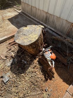 Stump Grinder And More