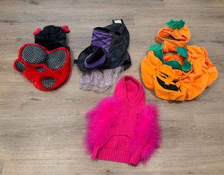 Halloween Dog Costumes and Sweater - $5 each