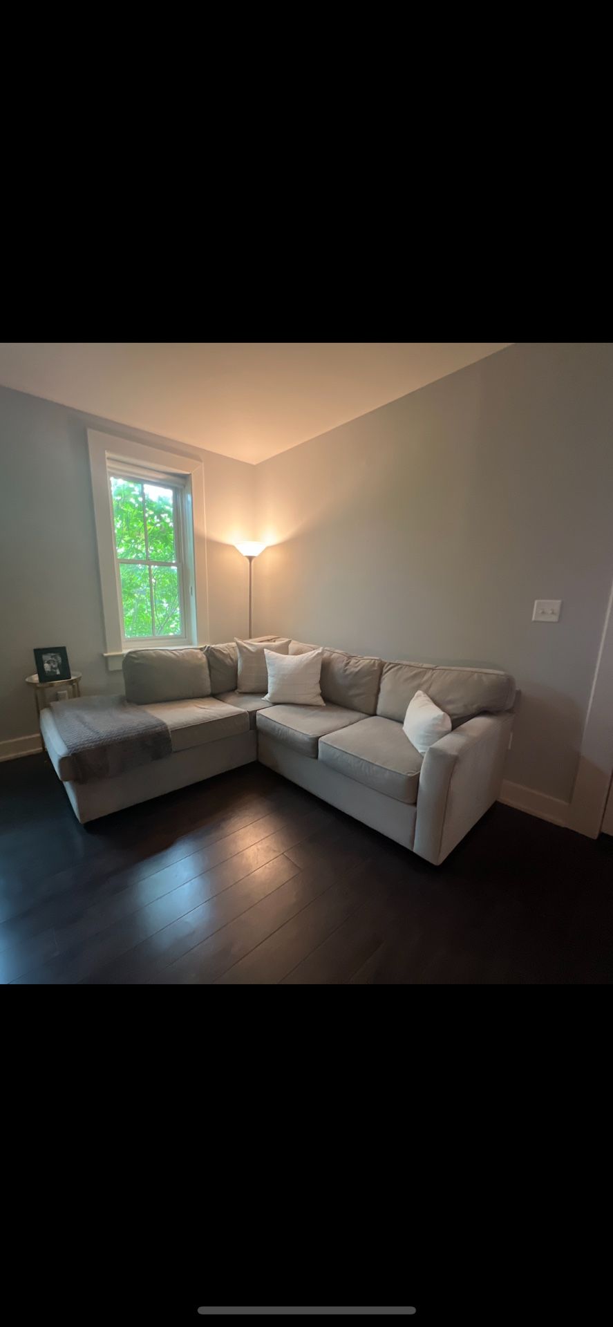 Living Spaces Like New Grey Velour Couch (Pick Up Only)