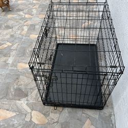 Large Dog Case