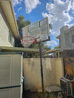 Lifetime Portable Basketball Hoop