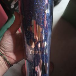 Starbucks Disneyland Tumbler