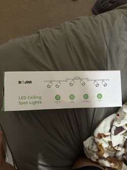 Spot Lights