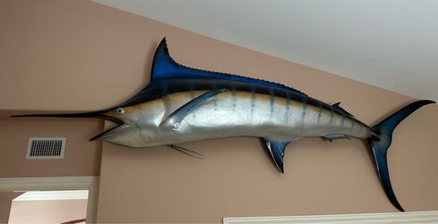12 Foot Marlin… Fishing Taxidermy