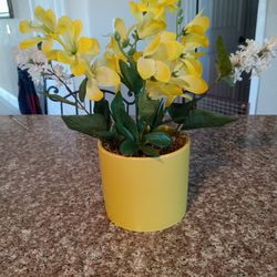 Decorative, Artificial, Plant 