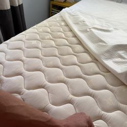 FREE QUEEN MATTRESS