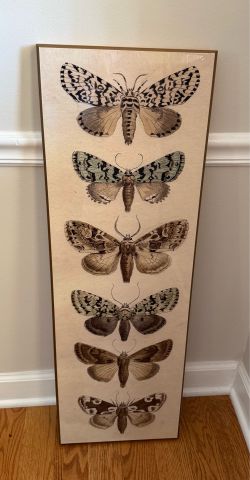 Decorative Wall Art