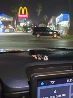 Mini Tlacuache Chu Car Decor 