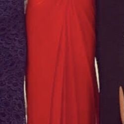 Abbi Vonn Formal Red Gown 