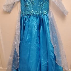 Elsa Beautiful Gown
