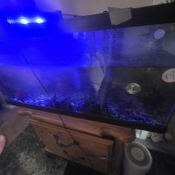 3 FOOT BY 17 Inches Highth FISH TANK WITH( 2 ) 40 GALLON FTERS