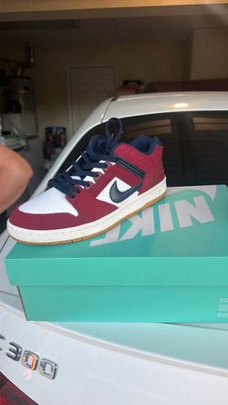 Nike SB Low-Top Skate Sneakers