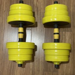 22 Lbs X 2 - Weights For Home Gym 