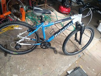 Raleigh Mountain bike