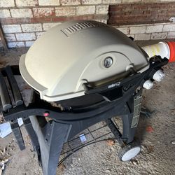 Bear Grill  150