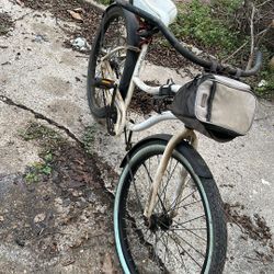 Adult Bike 