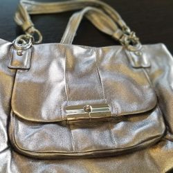 Silver Coach Purse