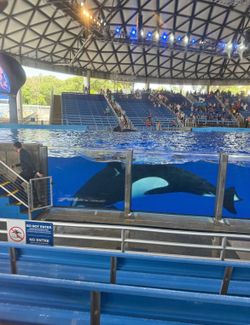 SeaWorld & Aquatica tickets