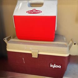 Igloo Coolers