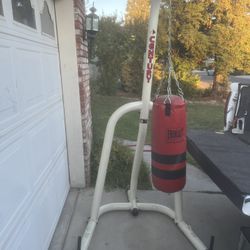 Punching Bag W/ Stand 