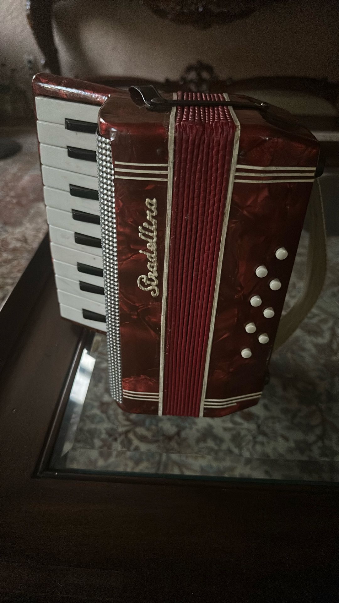 Stradellina Acordion