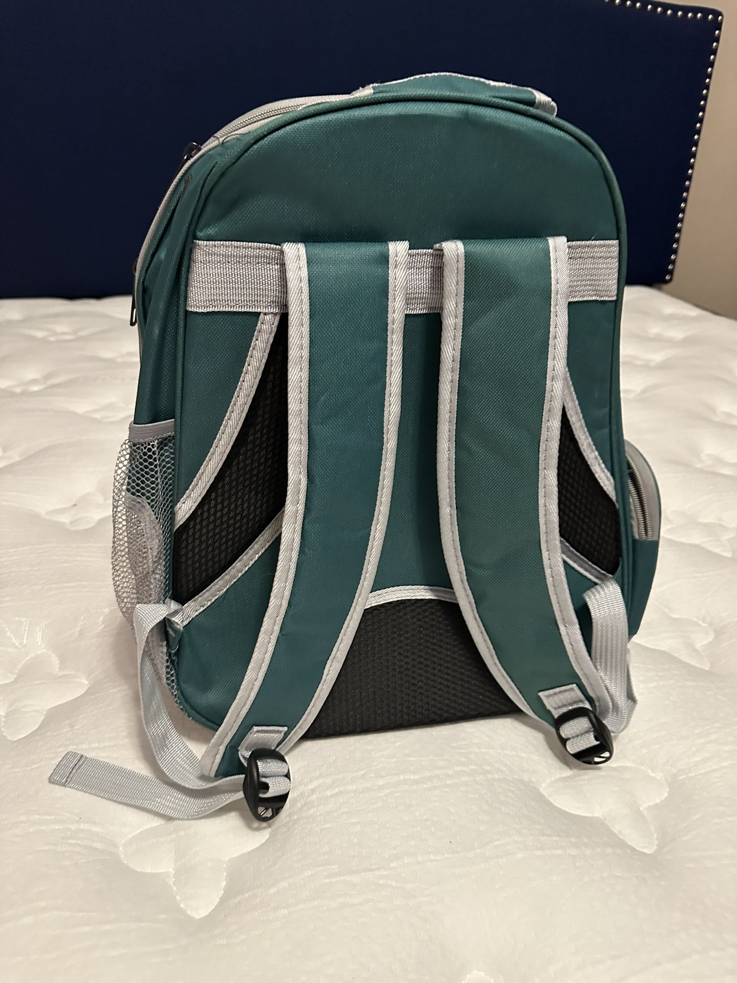 Cat/dog Carrier