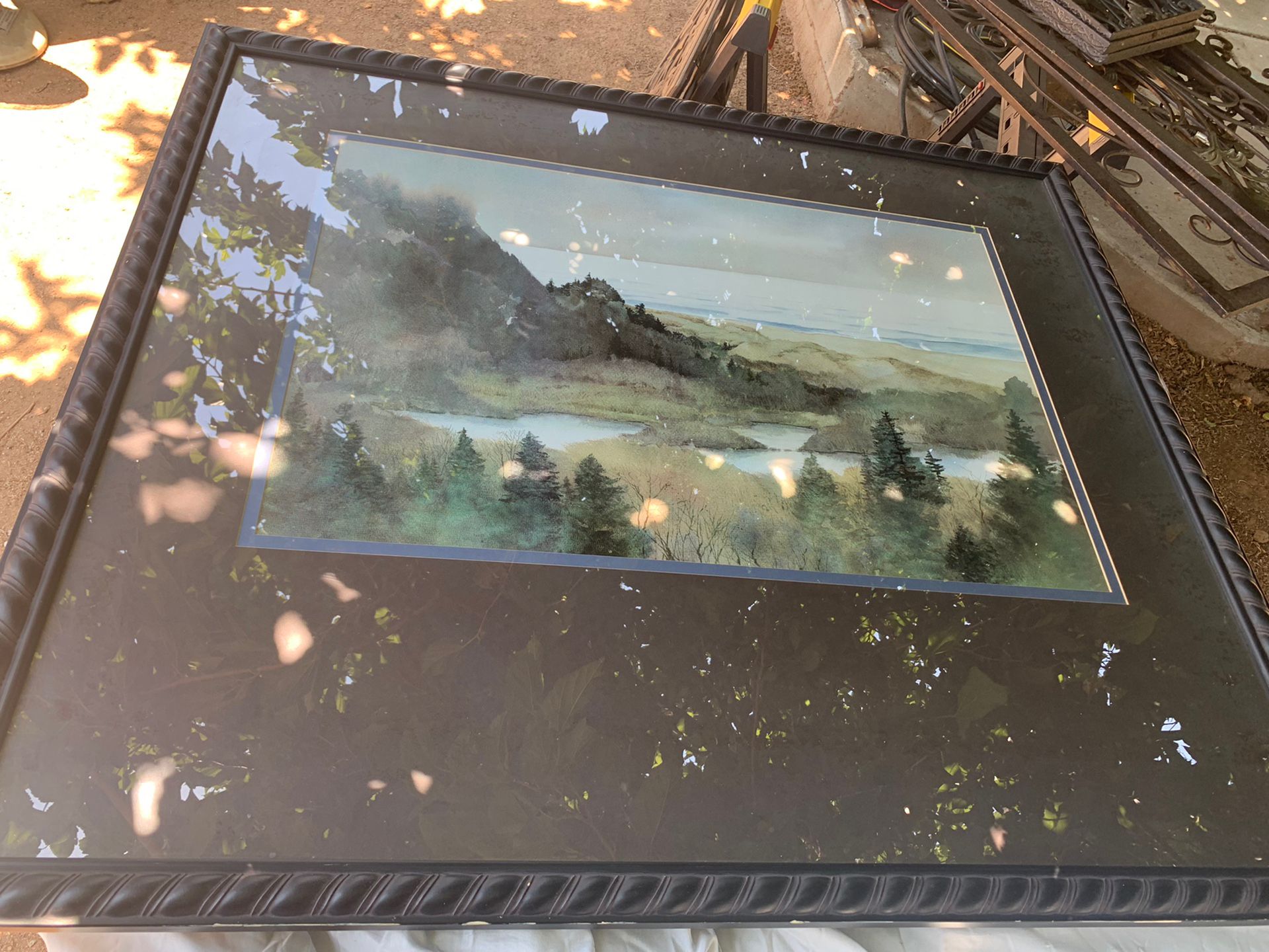 Large Framed Picture