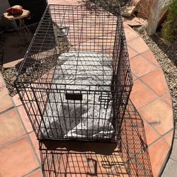 Large Wire Dog Crate With A Dog Bed 