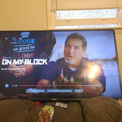 55 Inch Roku Tv