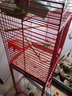Bird cage