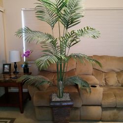 7' Silk Palm Tree - Like New