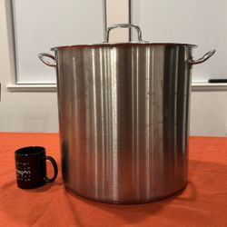 Tramontina 38 Quart Stock Pot with Lid